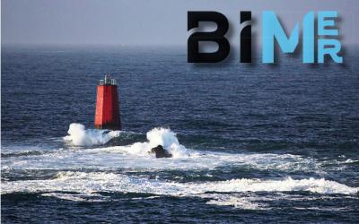 Vague de succès pour le Brevet d'Initiation à la Mer en Bretagne !